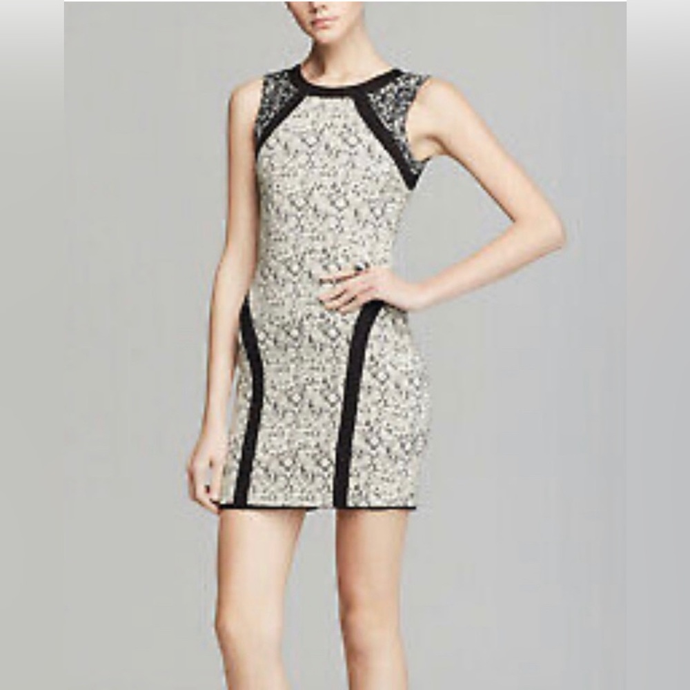 Parker Bodycon Dress